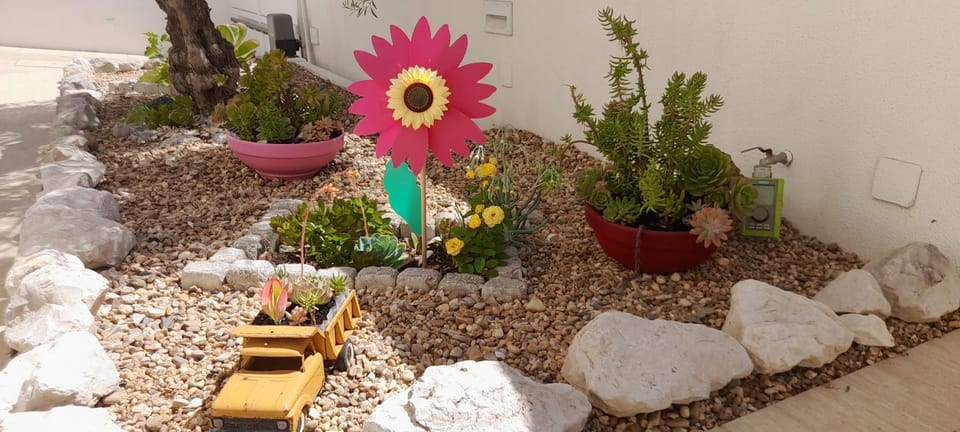 Garden, Garden view