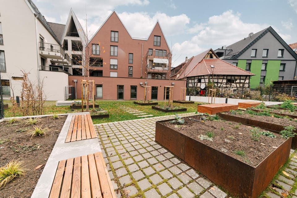 Garden, Garden view, Facility for disabled guests
