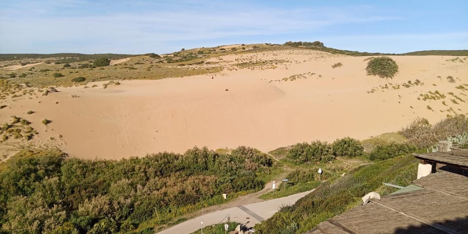 Natural landscape