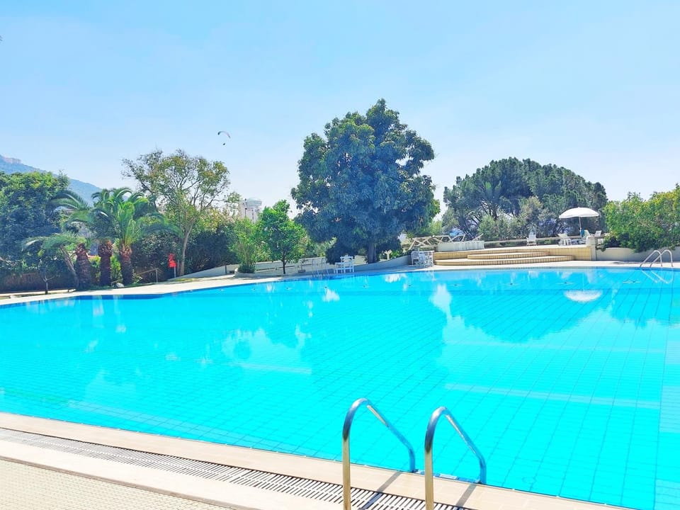 Day, Pool view, Swimming pool, sunbed