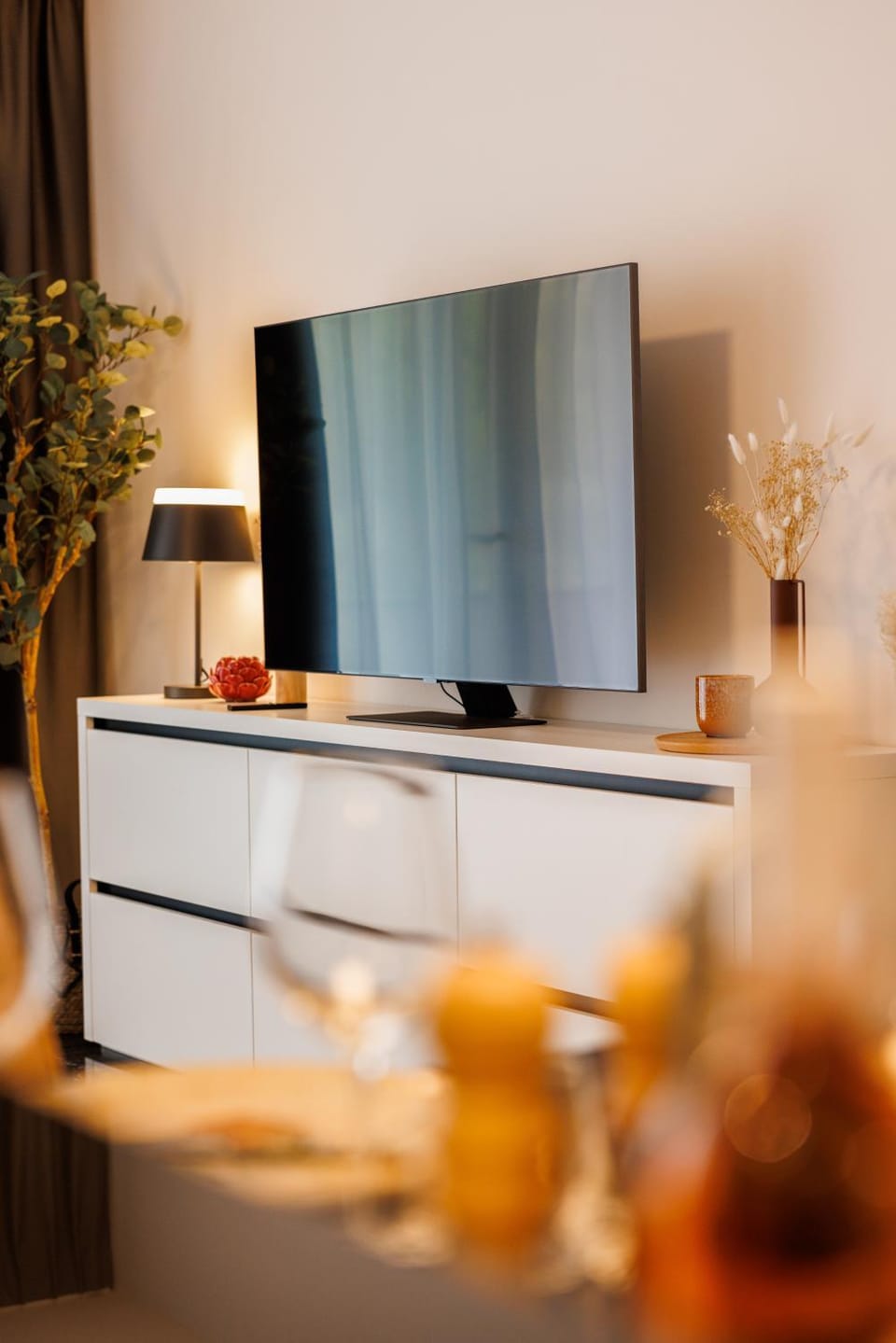 TV and multimedia