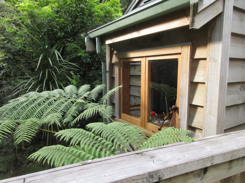 Garden, Garden, Garden view