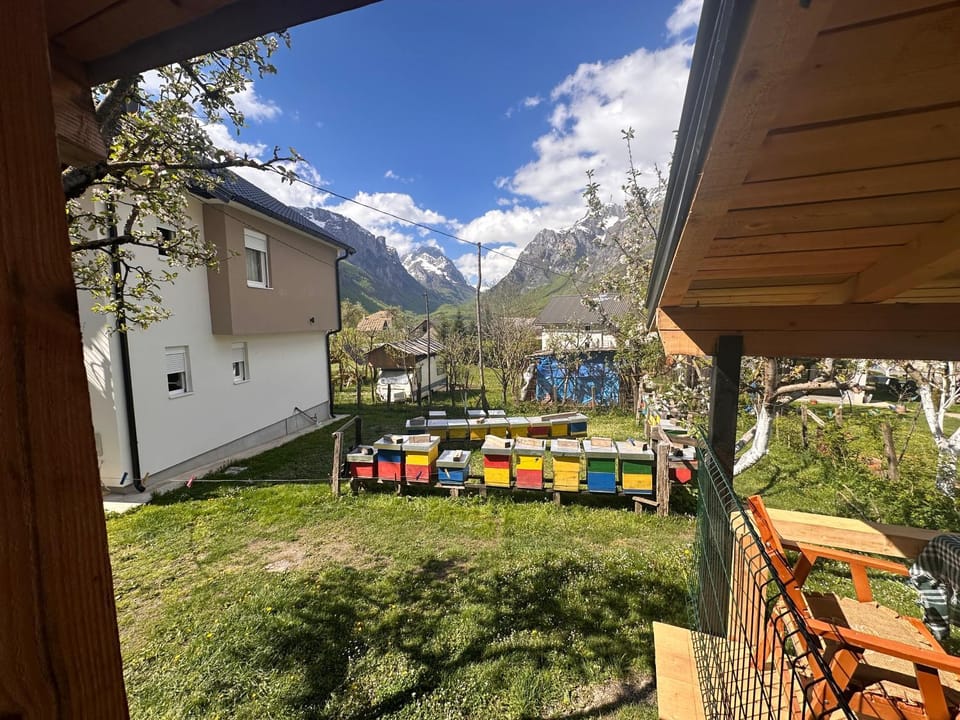 Property building, Spring, Day, Natural landscape, Garden, Evening entertainment, Garden view, Mountain view