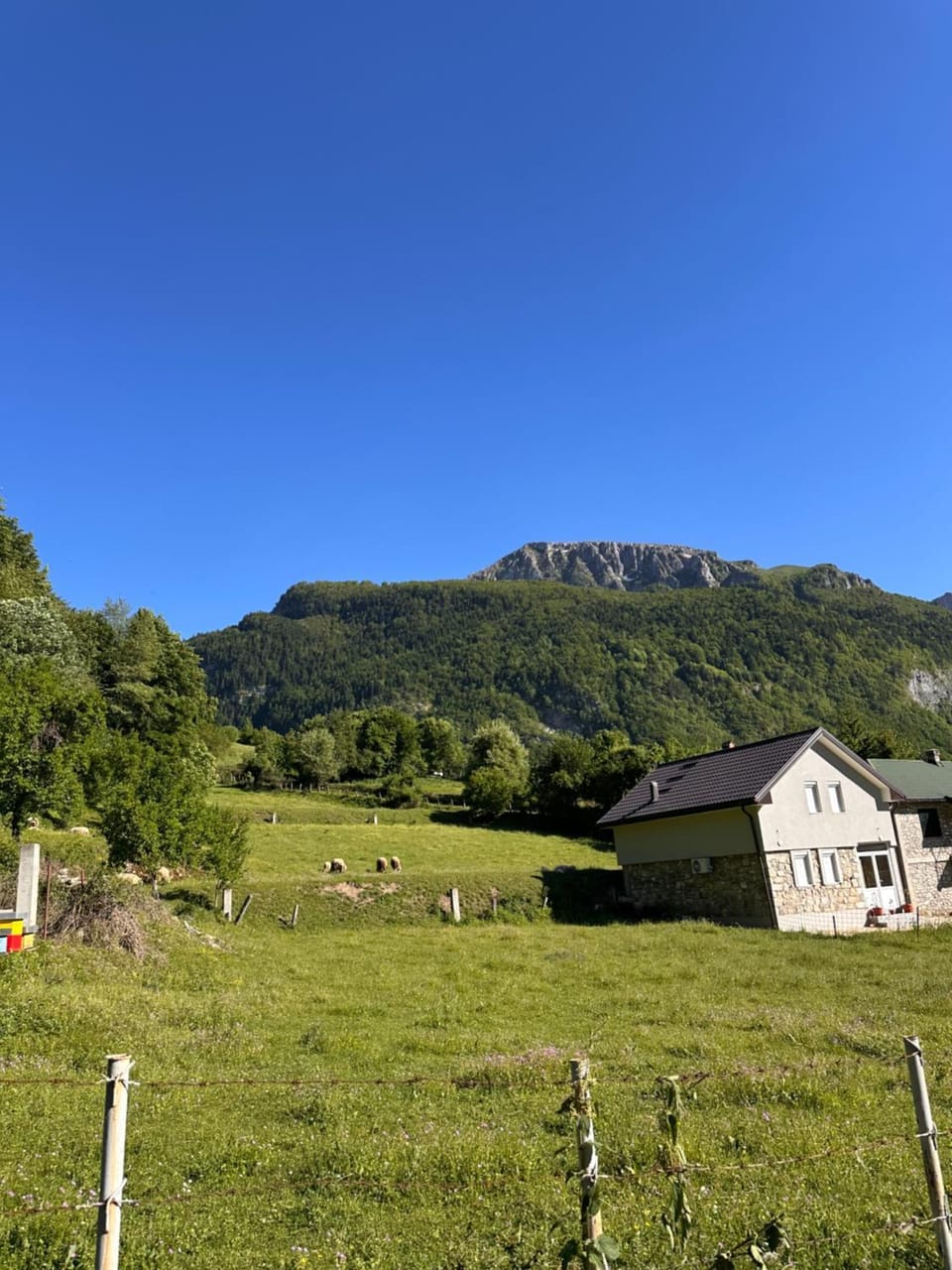 Spring, Day, Natural landscape, Mountain view