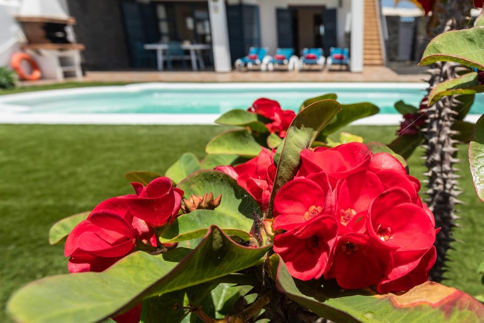 Garden, Garden view
