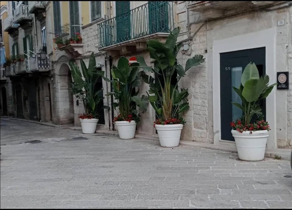 Locus Pendinelli Trani 53-The philosophy of a bb, the details of a Hotel Apartment in Trani