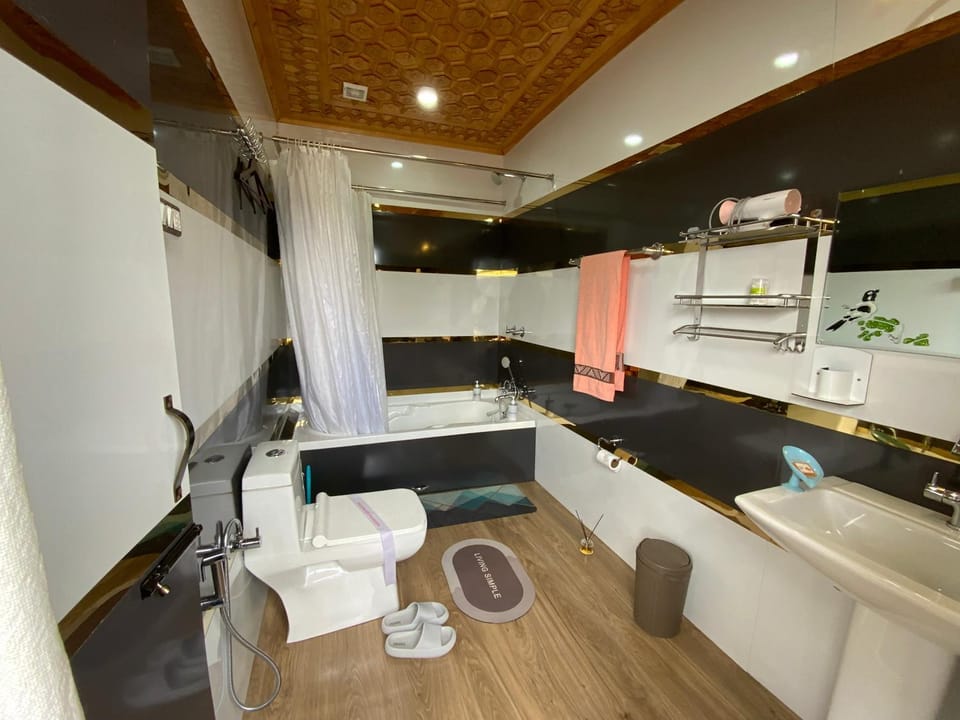 Movie land group of house boats Hotel in India