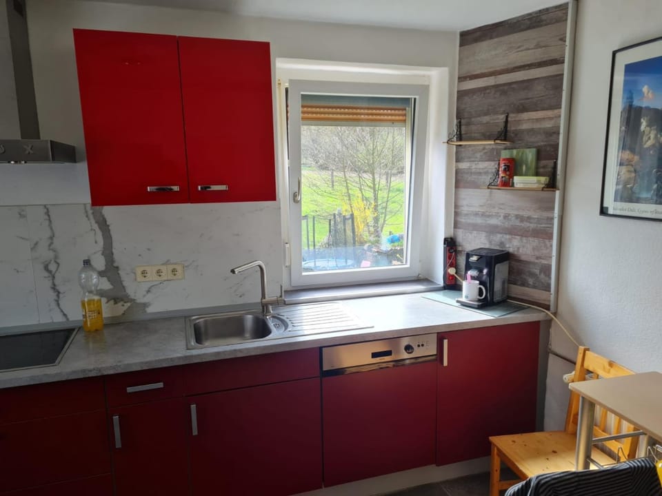 Kitchen or kitchenette, dishwasher, minibar, pet friendly, stove