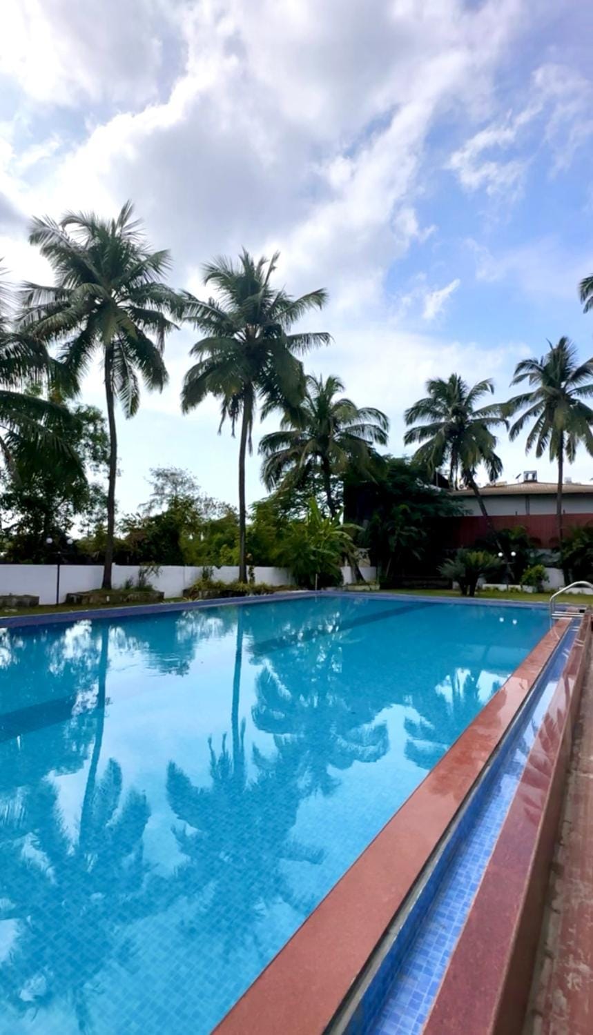 Day, Pool view, Swimming pool, sunbed