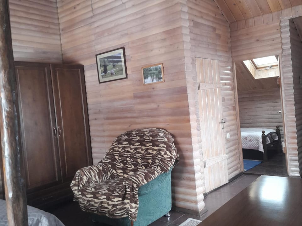 Argo Guest House Bed and Breakfast in Almaty Region, Kazakhstan