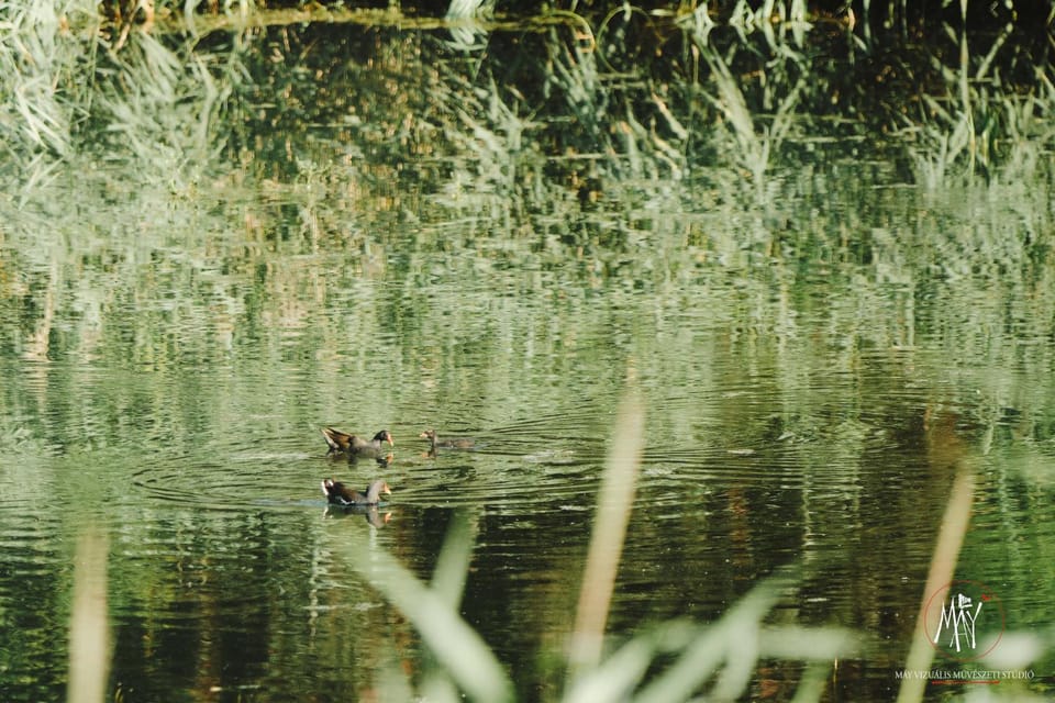 Natural landscape, Lake view