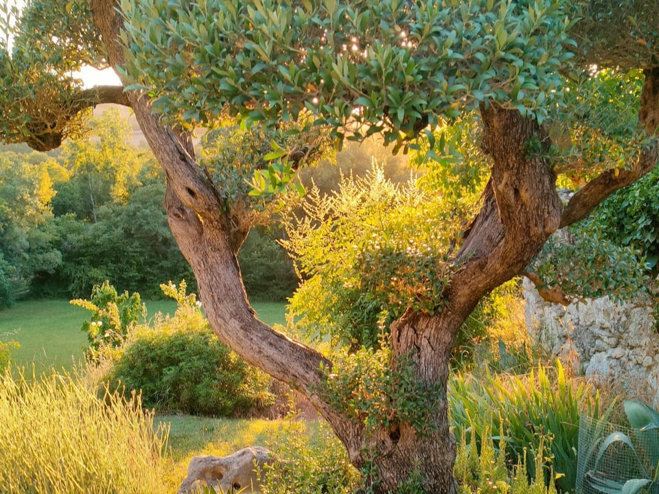 Maison La Thébaïde Bed and Breakfast in Occitanie