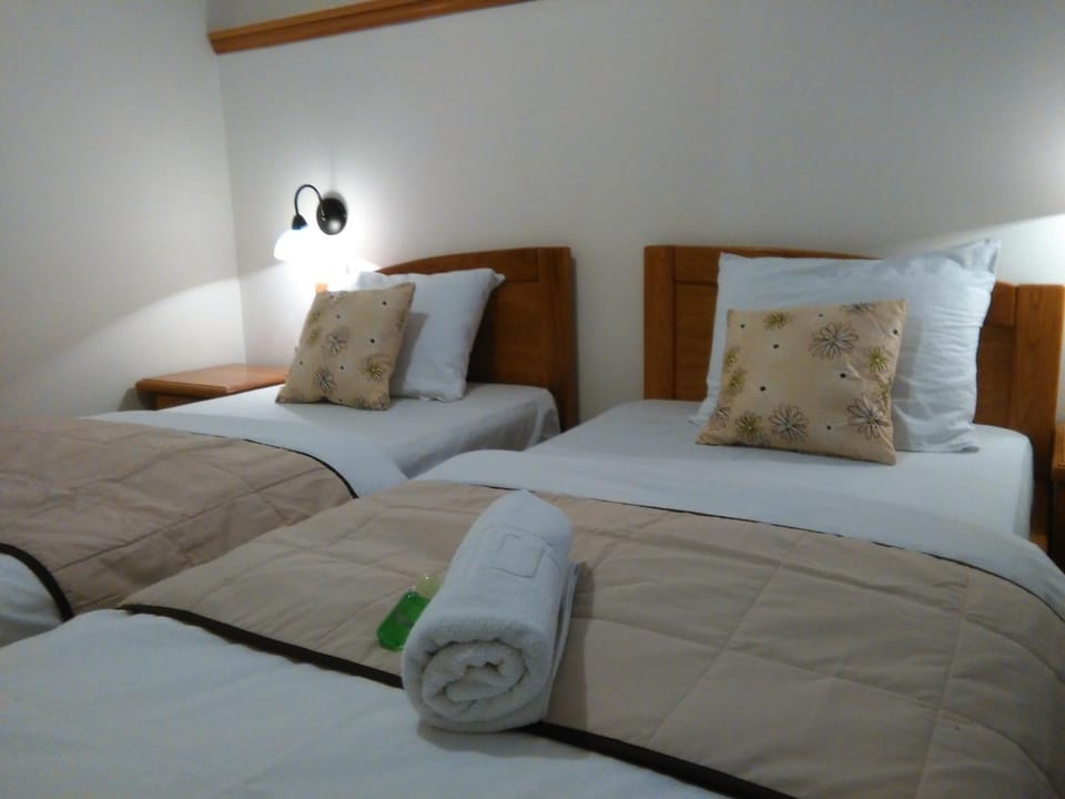 Shower, Toilet, Bed, TV and multimedia, Seating area