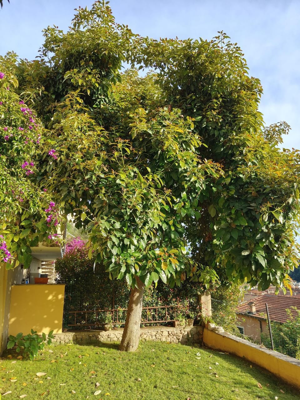 Antica Corte Bed and Breakfast in Province of Massa and Carrara