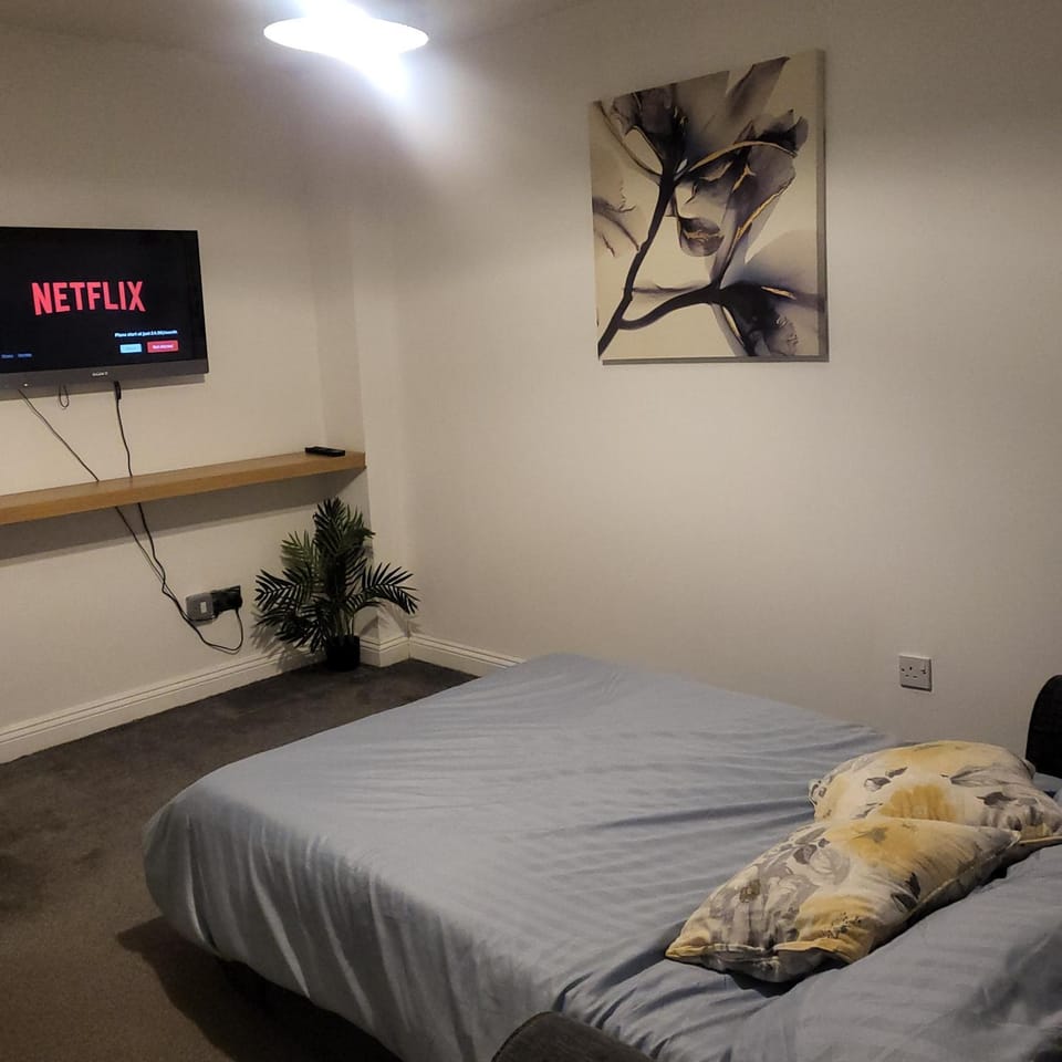 Bed, TV and multimedia
