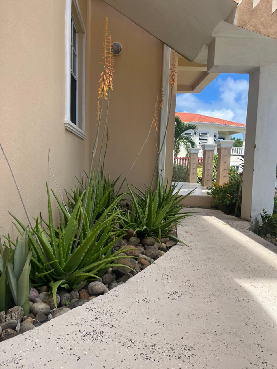 Property building, Day, Garden