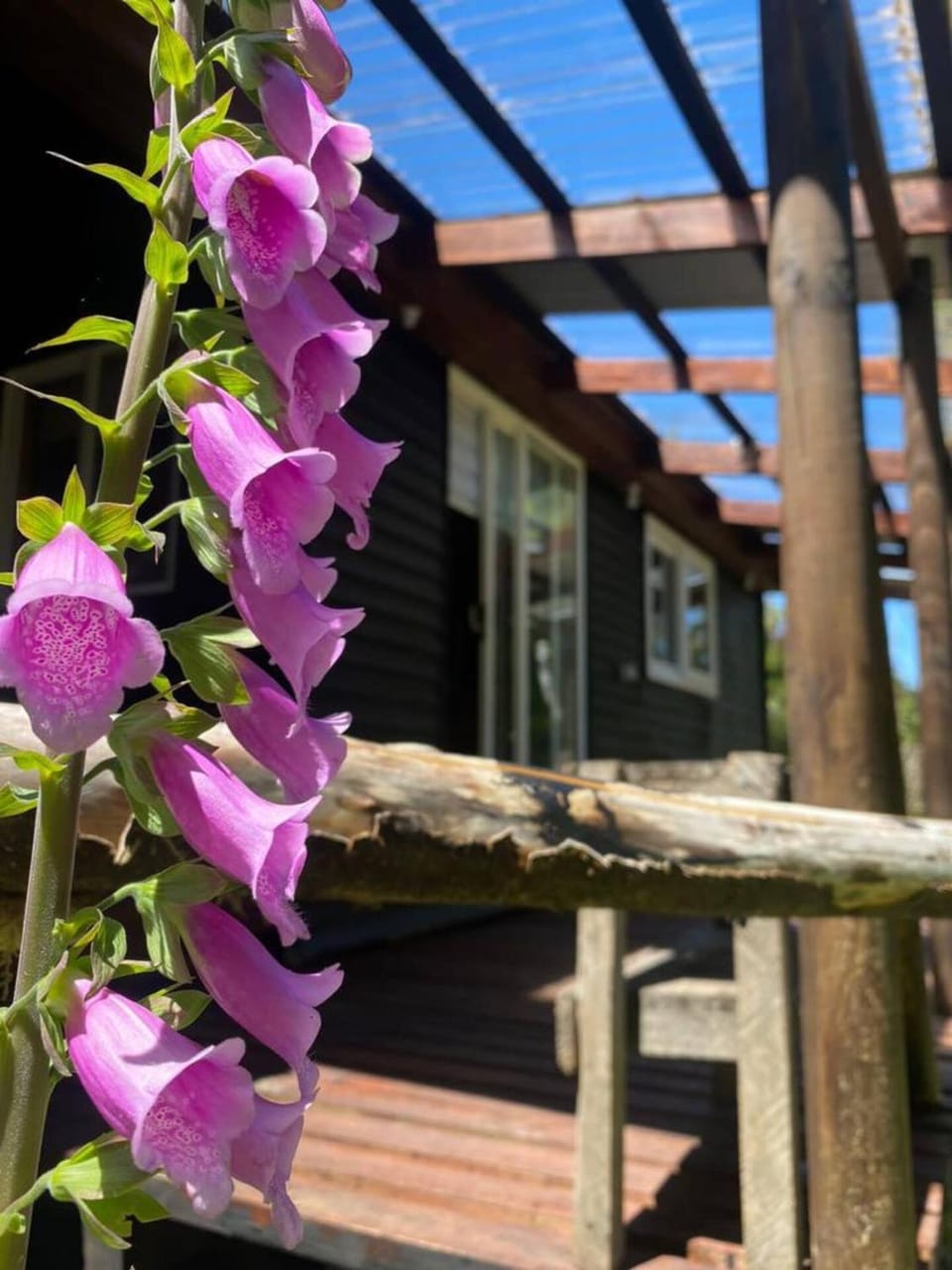 Spring, Day, Garden, Garden view