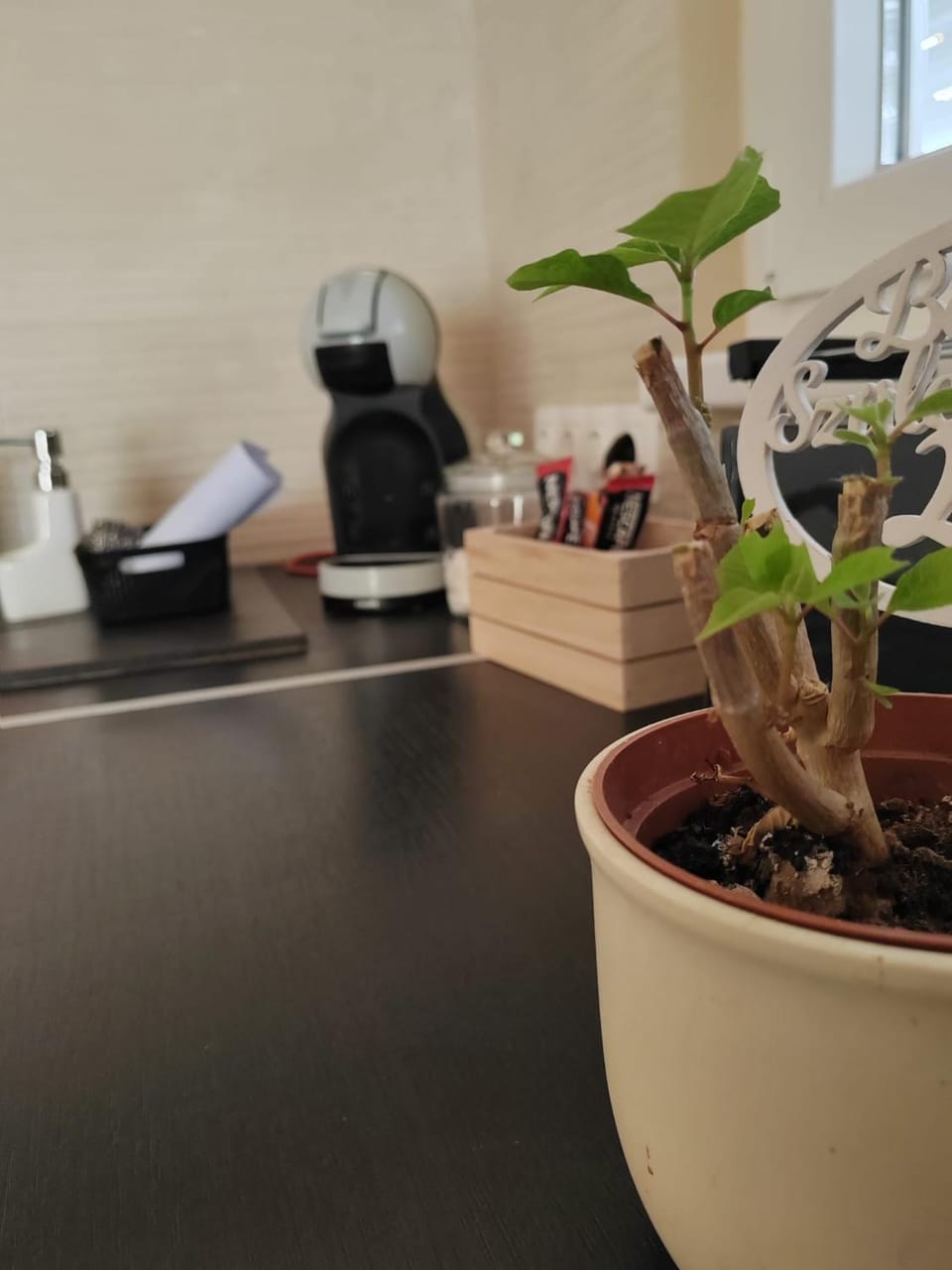 Apartman Fonyód House in Hungary