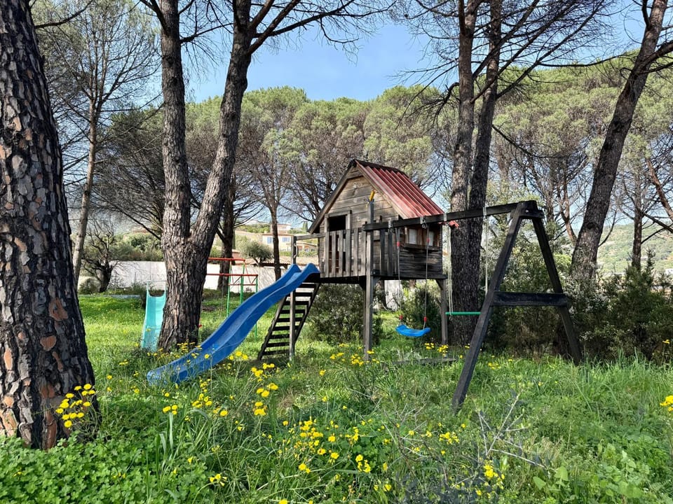 Children play ground