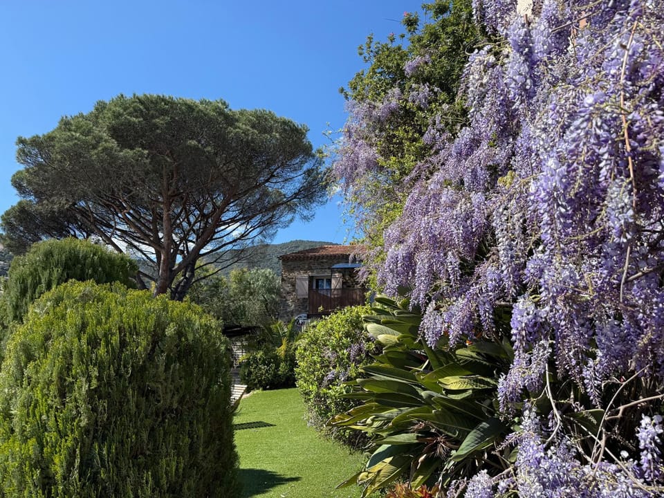 Natural landscape, Garden, Mountain view