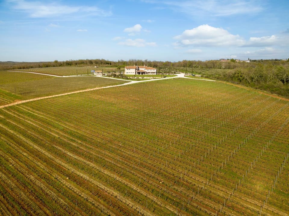 Property building, Natural landscape