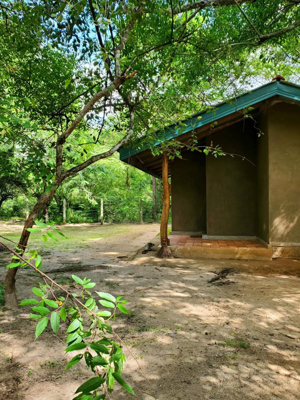 Property building, Day