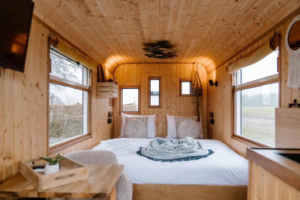 Bed, Photo of the whole room, Dining area, Bedroom