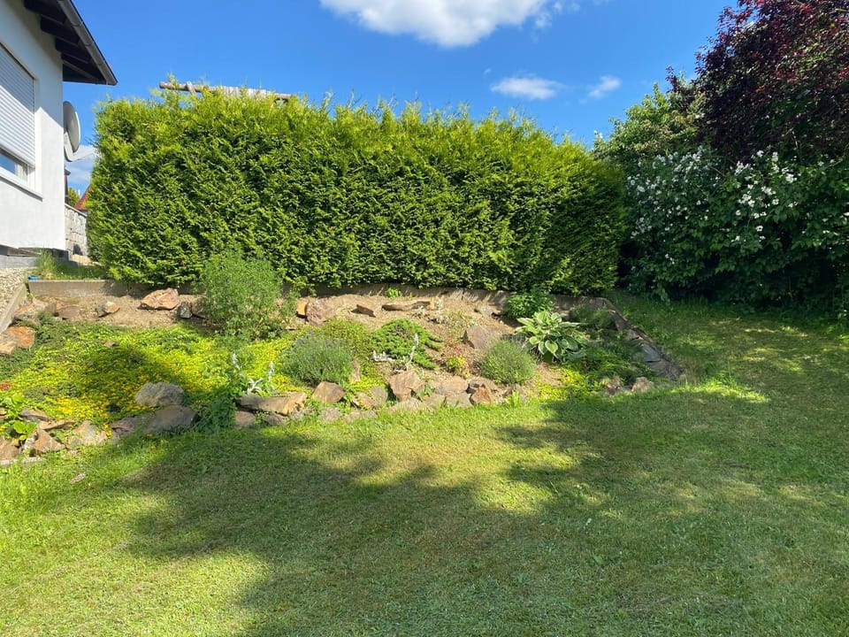 Garden view