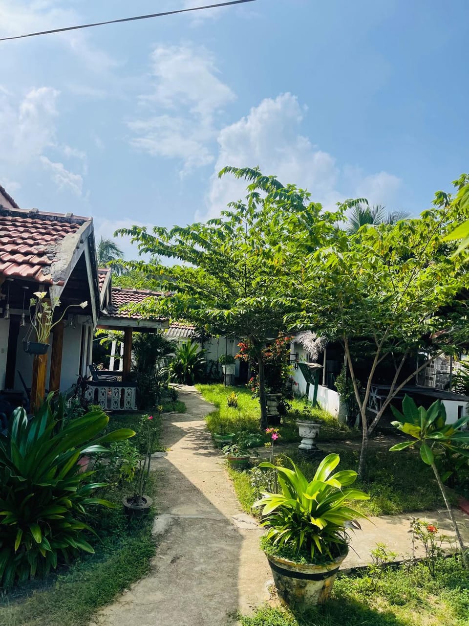 View (from property/room)