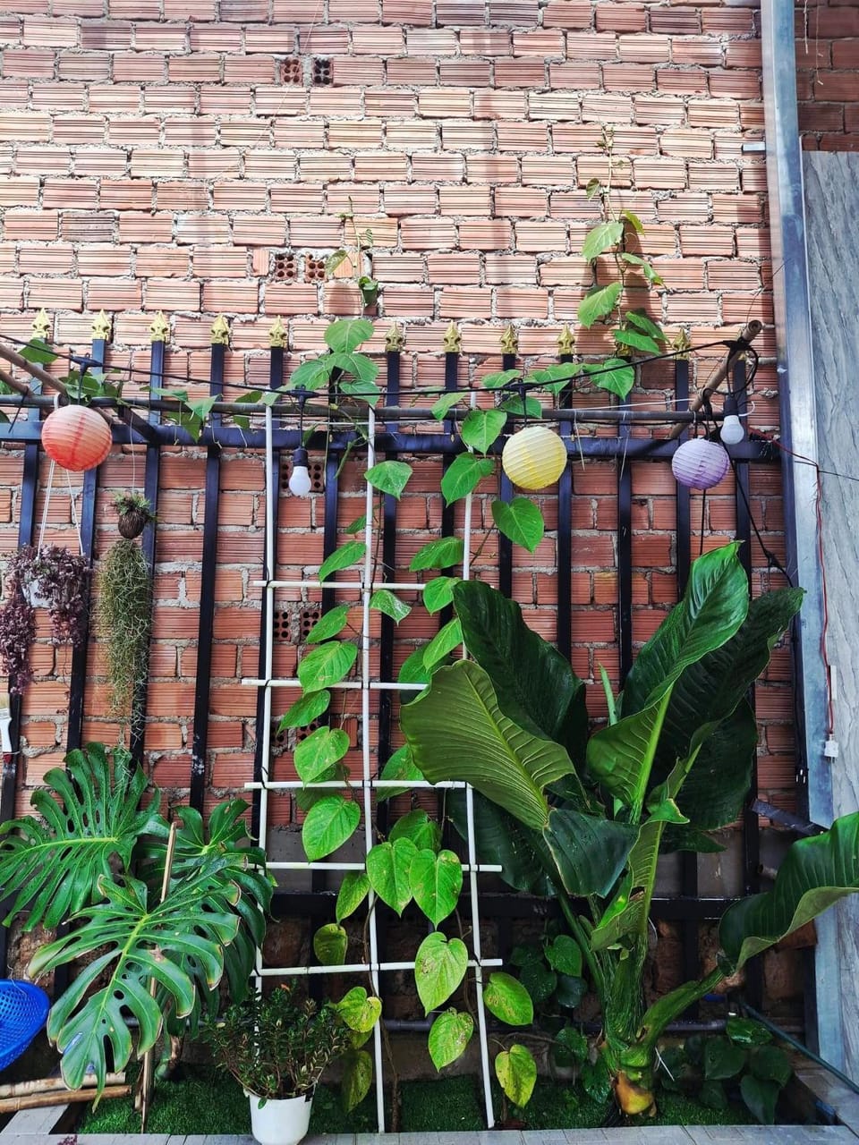 Home Người Đà Lạt Apartment in Dalat