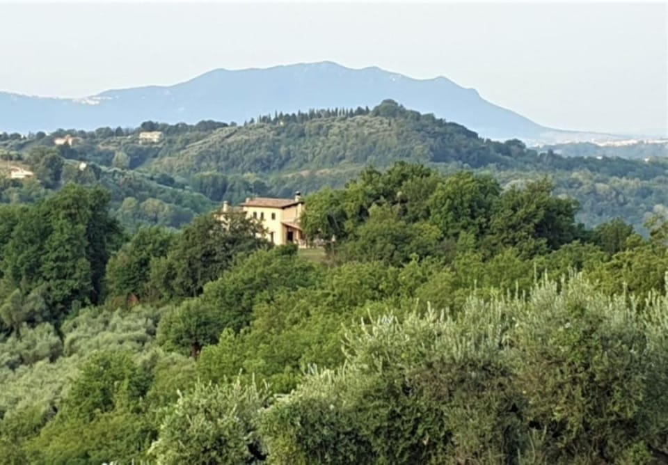 Sabina Essence Villa di charme Villa in Lazio