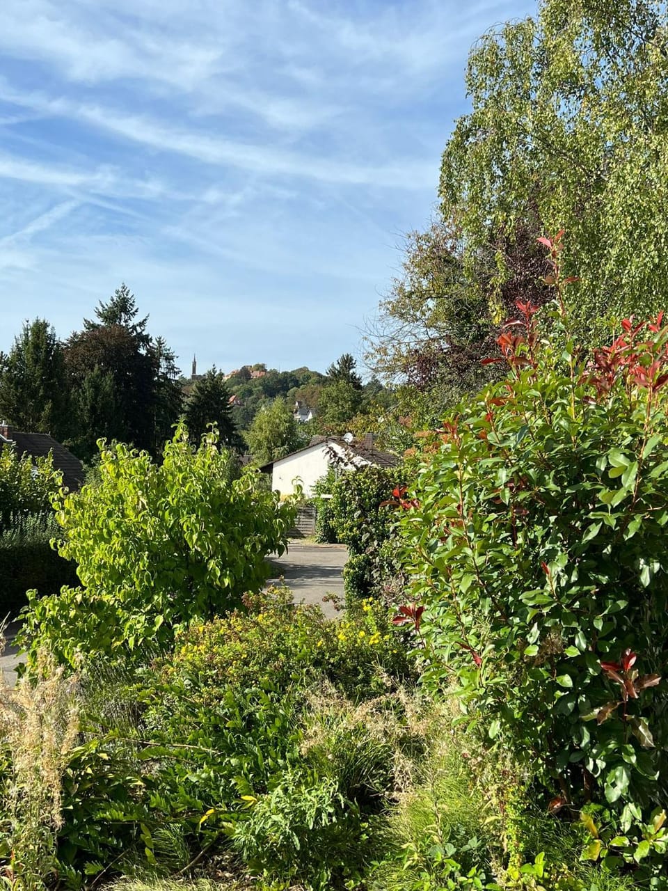 View (from property/room)