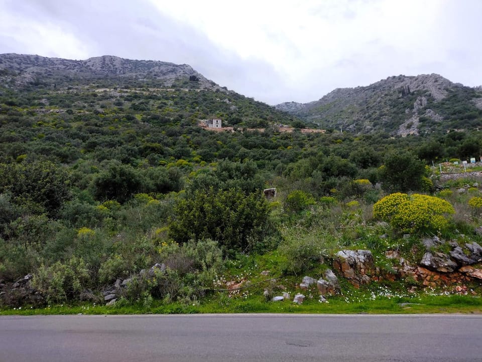 Property building, Nearby landmark, Spring, Day, Neighbourhood, Natural landscape, Mountain view