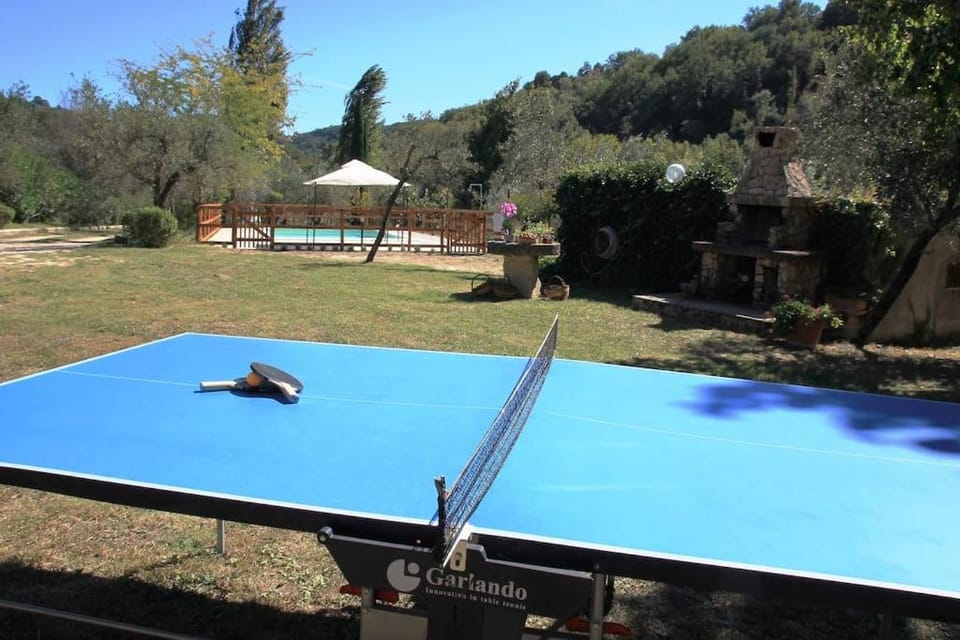 Garden, Table tennis