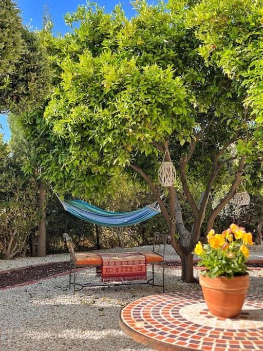 Garden, Garden view