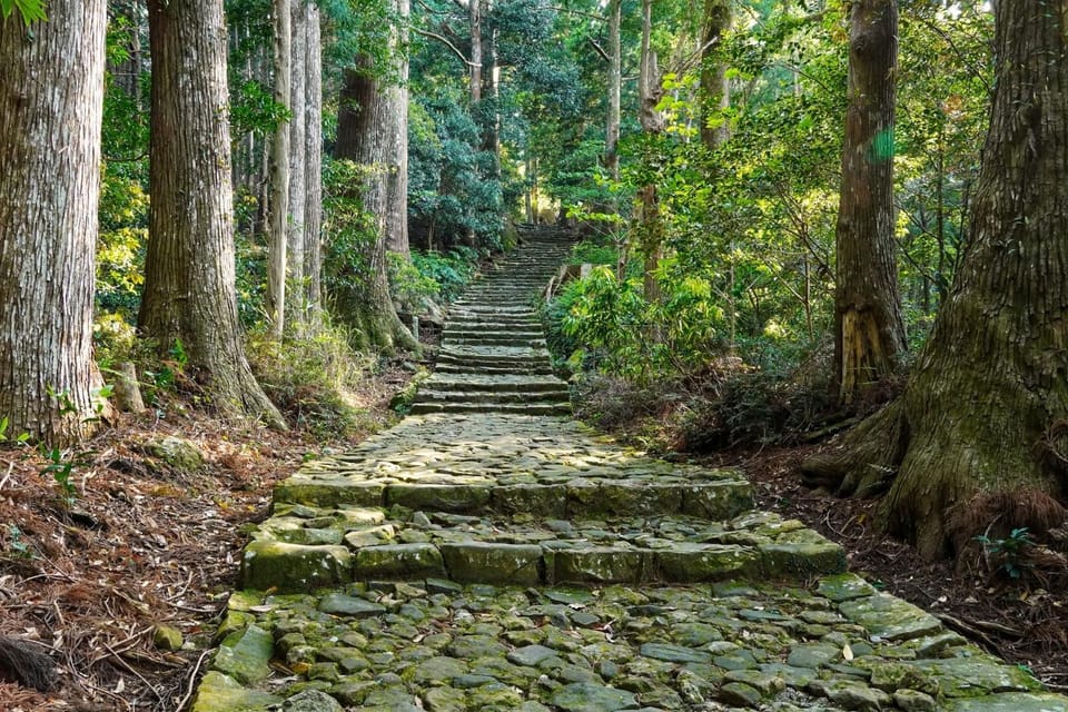 シングウノイエ【貸切】熊野古道　速玉大社　那智の滝　神倉神社　マグロ　和歌山ラーメン　 Apartment in Japan