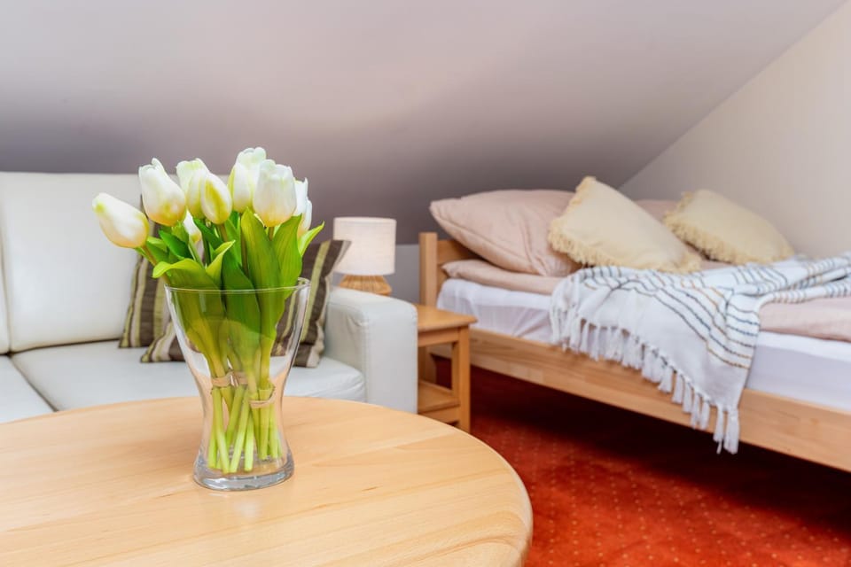 Villa Miłosna Bed and Breakfast in Poland