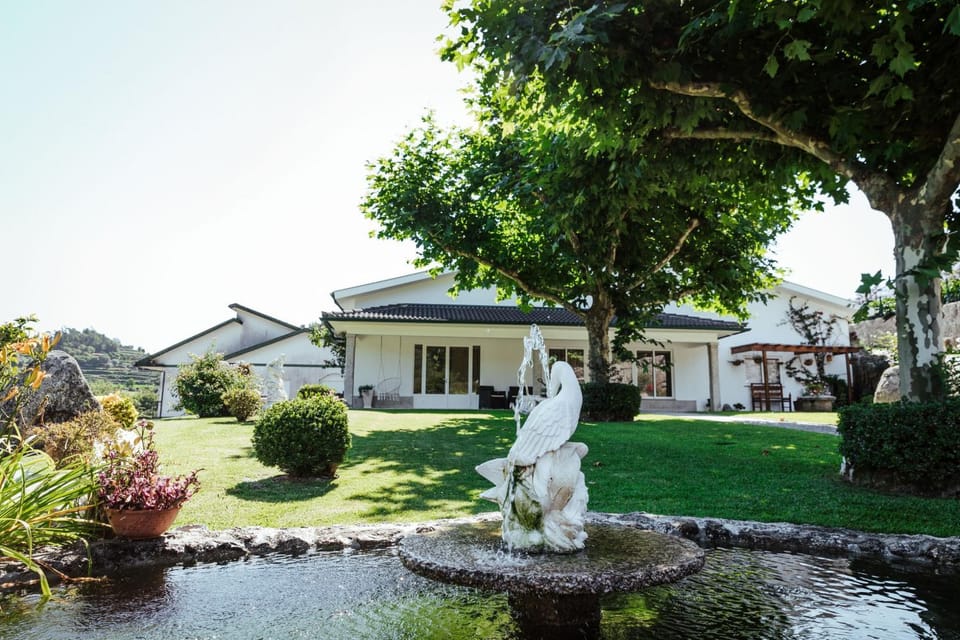 Patio, Garden, Garden view