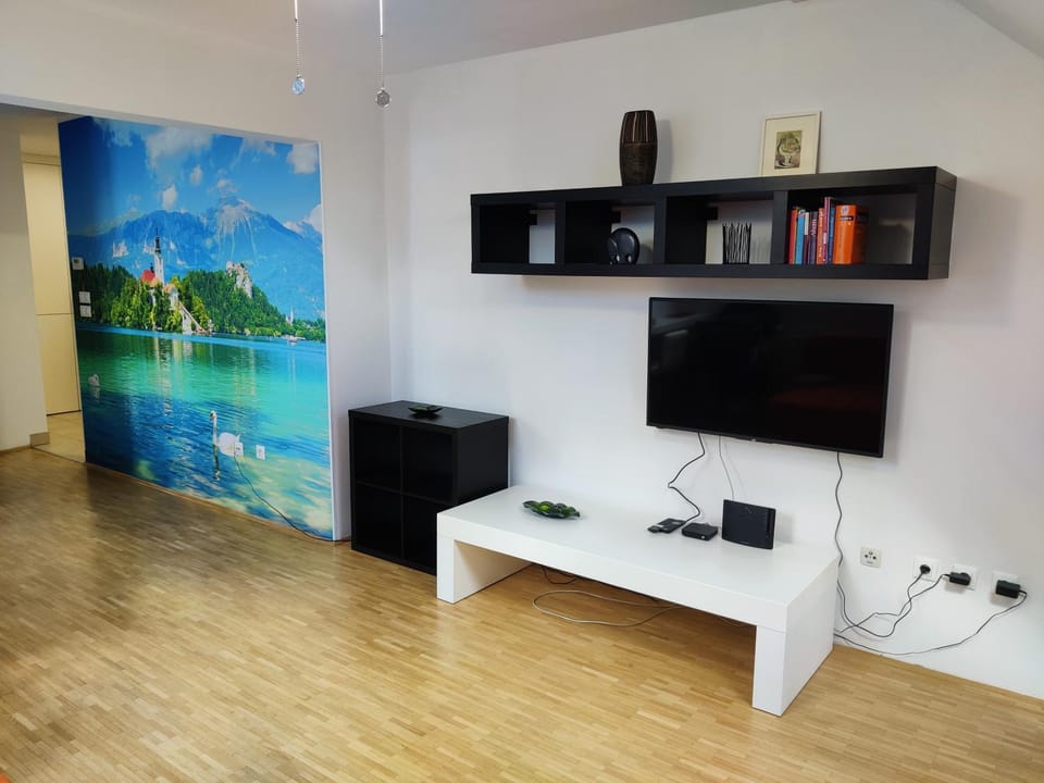 TV and multimedia