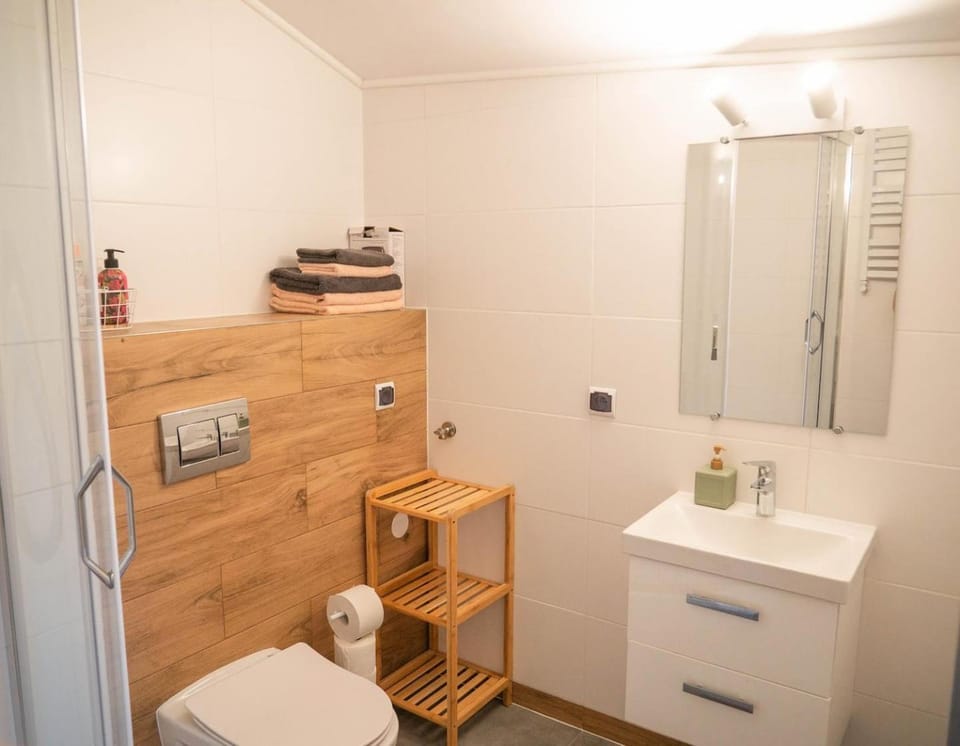 Shower, Toilet, Bathroom, towels