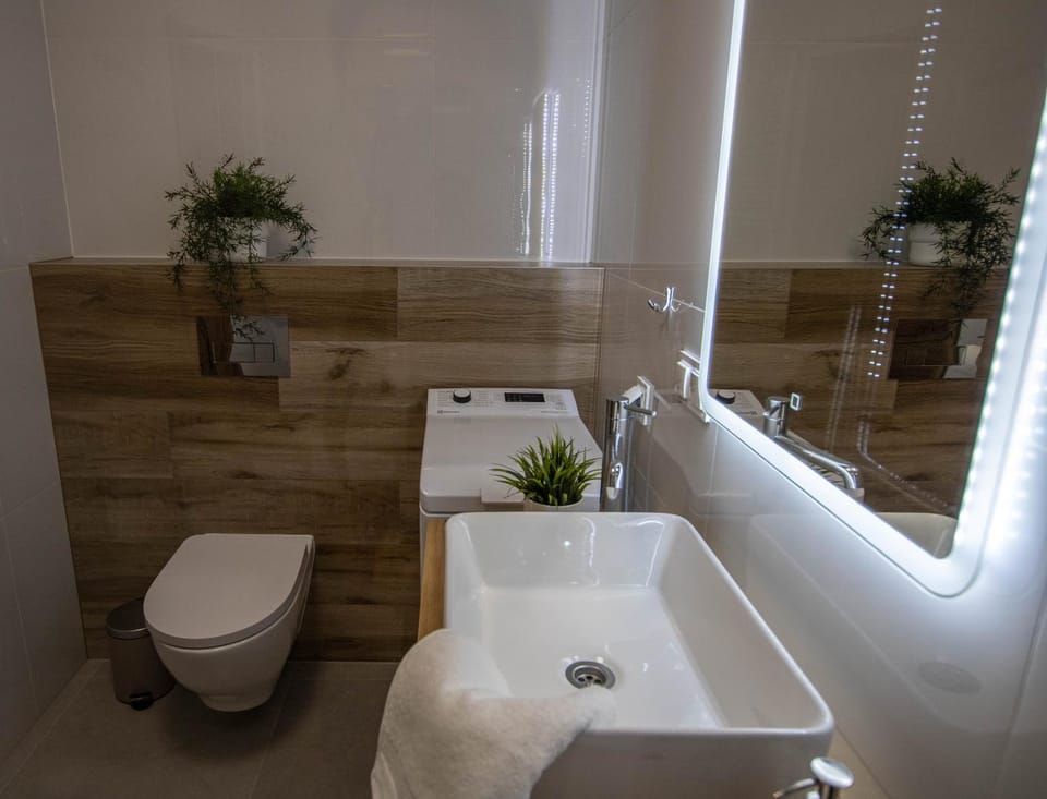 Toilet, Bathroom, towels, washing machine
