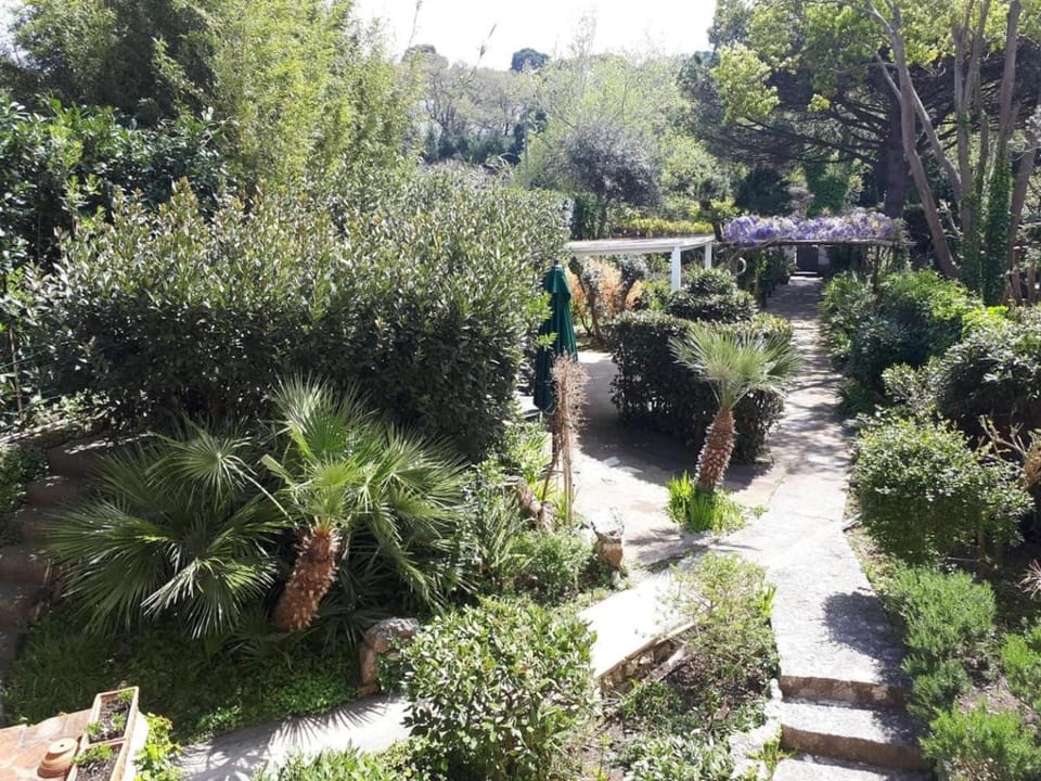 Property building, Garden view