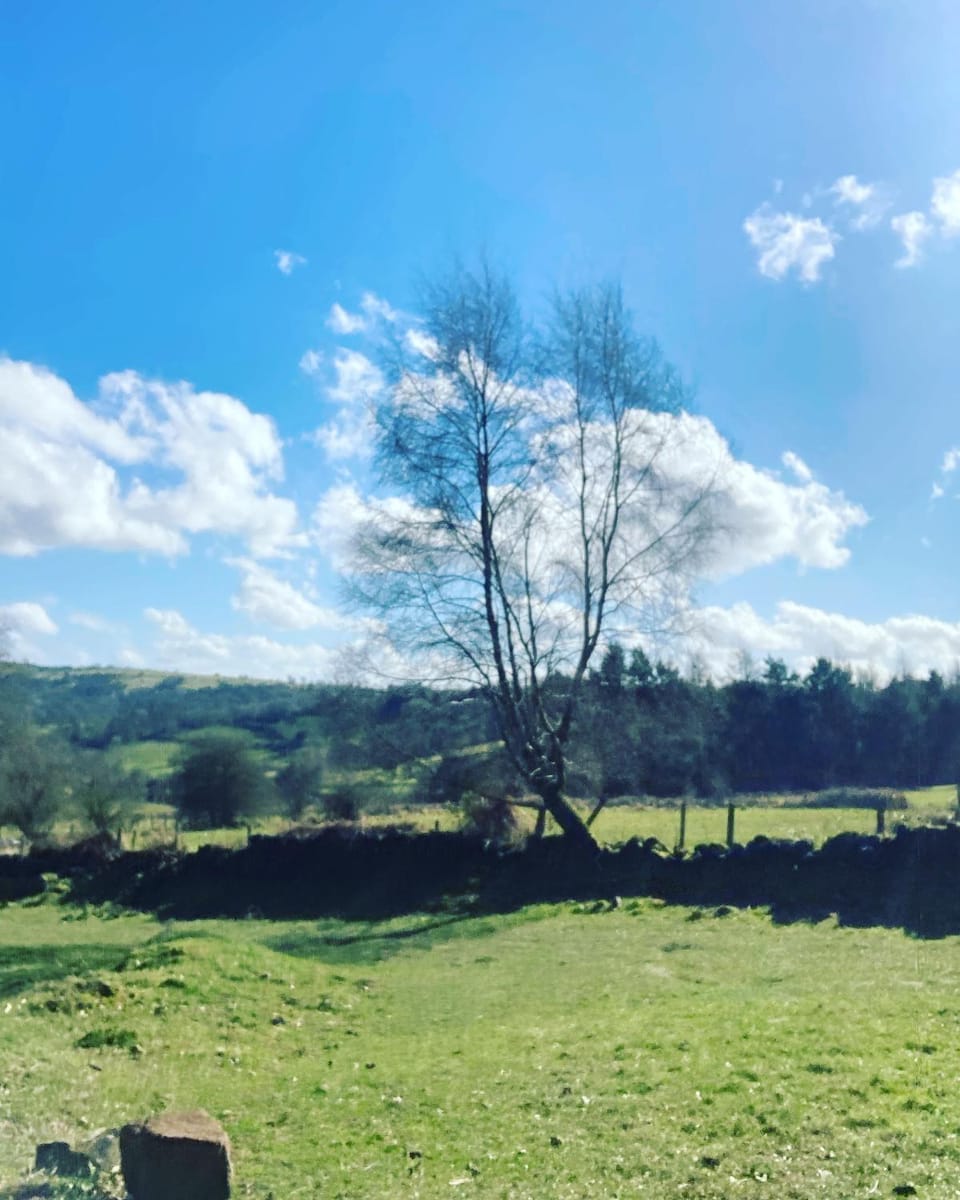 Rock House BNB Bed and Breakfast in Derbyshire Dales District