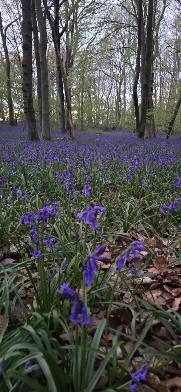 Rock House BNB Bed and Breakfast in Derbyshire Dales District