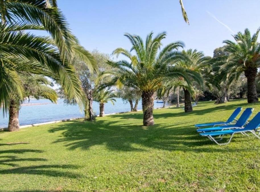 Natural landscape, Beach, Sea view, sunbed