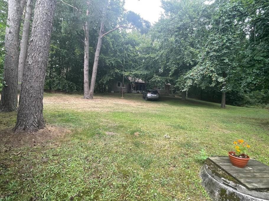Lönnekullen, enkel sommarstuga mitt i skogen på Österlen med dusch ute Apartment in Skåne County