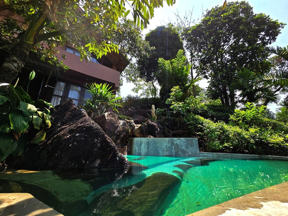 Pool view, Swimming pool