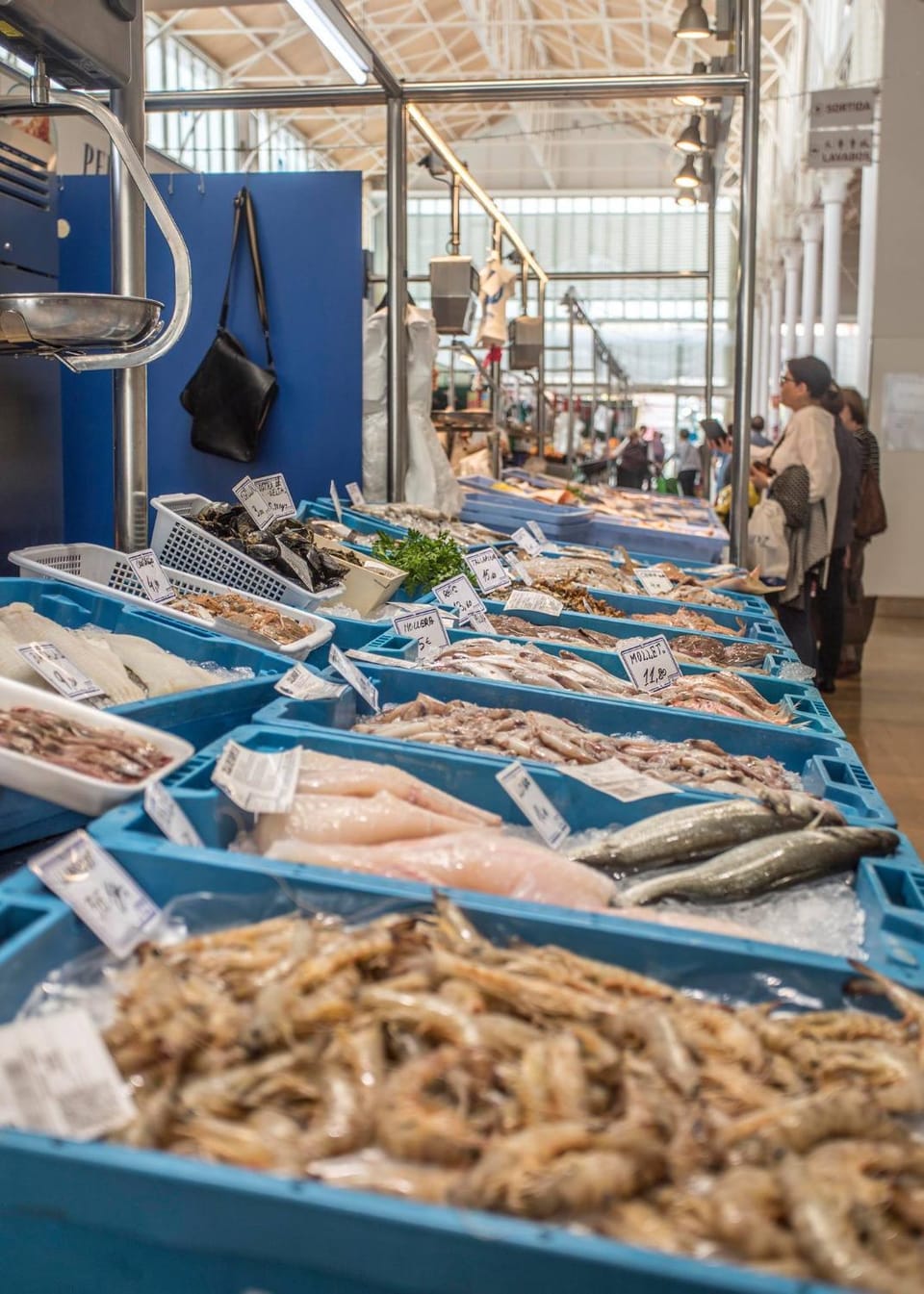 Apartamento en primera línea de mar Apartment in Vinaròs