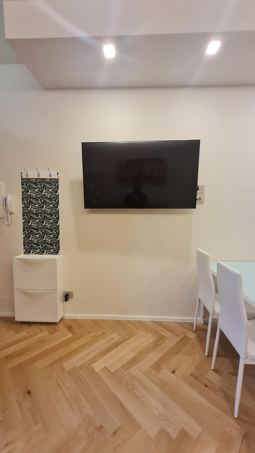 TV and multimedia