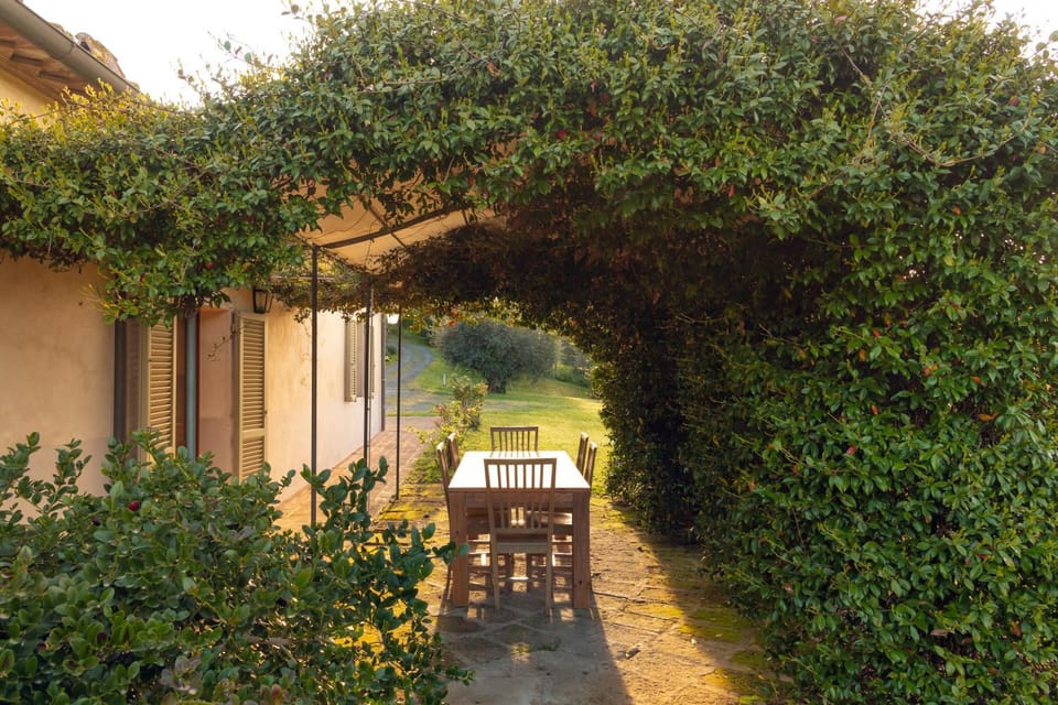 Patio, Garden